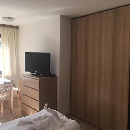 哈斯林格高山旅馆