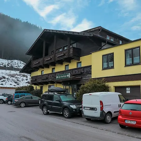 Guest house Alpenpension Haslinger Bad Gastein