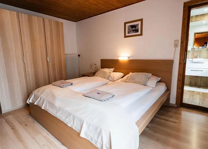 Alpenpension Haslinger Maison d'hôtes Bad Gastein